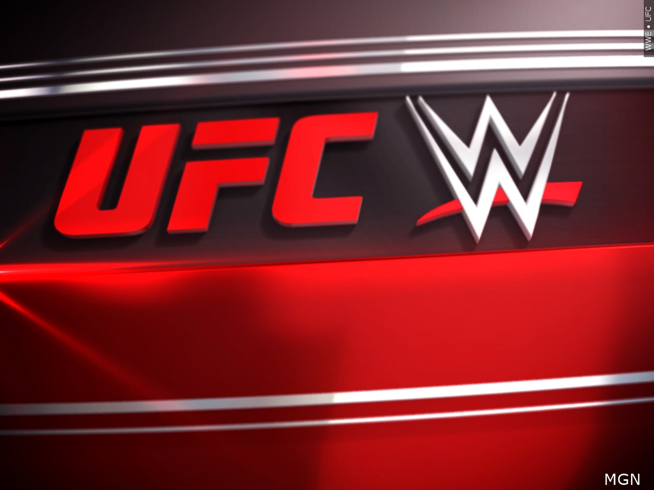 UFC/WWE